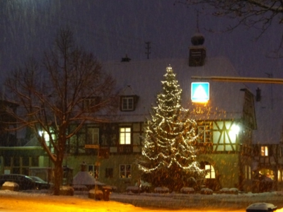 Nachtwanderung 29 12