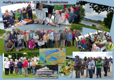 Am Brombachsee  Collage von Beate Elsner