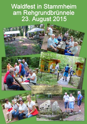 Impressionen vom Waldfest 2015