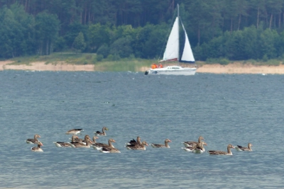 Ausflug an den Brombachsee und nach Dinkelsbuehl