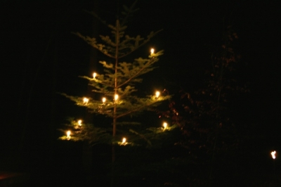 Nachtwanderung am 28. Dezember