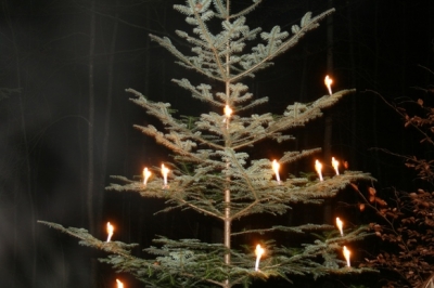Nachtwanderung am 28. Dezember