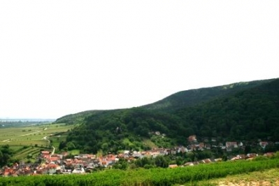 12. Mai - Ausflug in die Pfalz