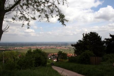 12. Mai - Ausflug in die Pfalz
