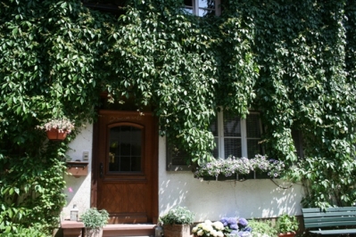 2013 08. Juni Ausflug Straßburg Gengenbach