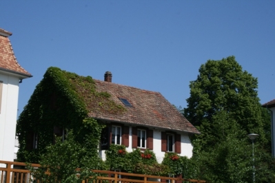 2013 08. Juni Ausflug Straßburg Gengenbach