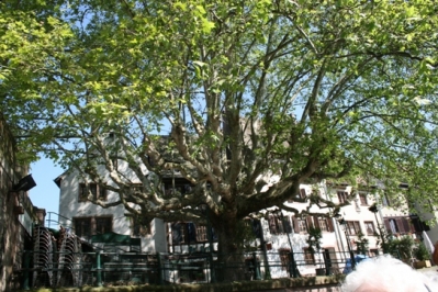 2013 08. Juni Ausflug Straßburg Gengenbach