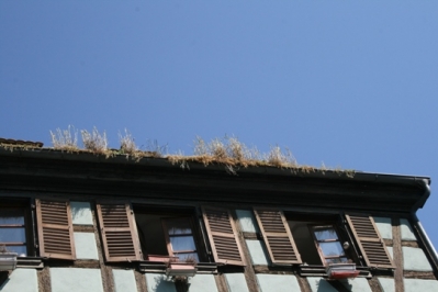 2013 08. Juni Ausflug Straßburg Gengenbach