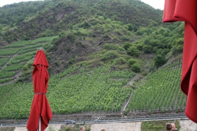 12. und 13. Juli Ausflug an die Mosel