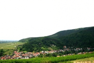 12. Mai - Ausflug in die Pfalz